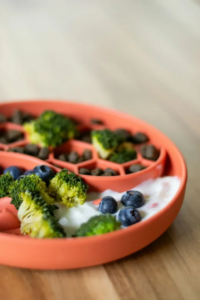 Sprouts + Paneer / Egg